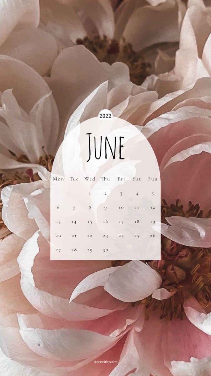 June 2022 Popsicle Calendar Wallpaper  Sarah Hearts