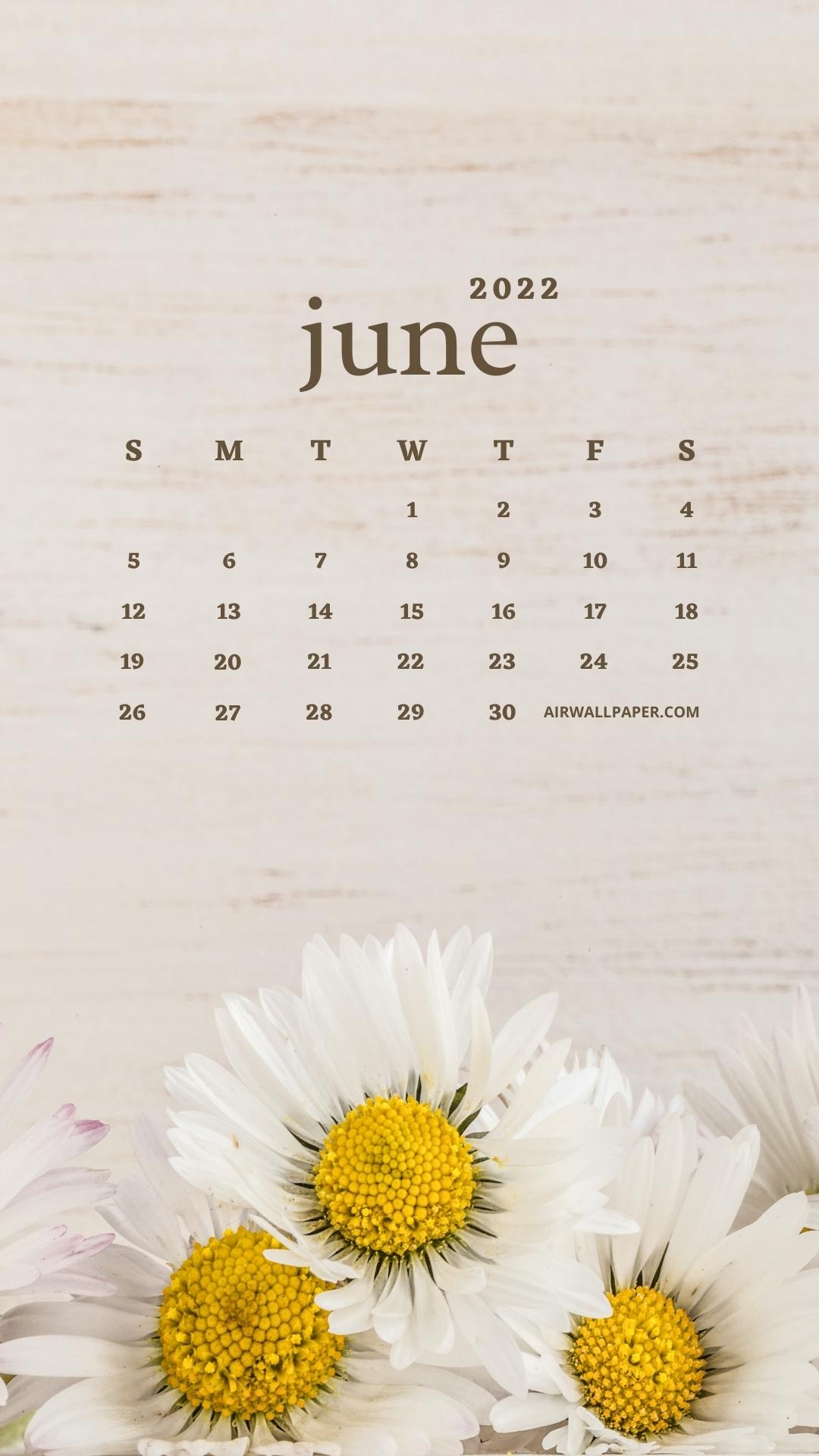 Download wallpapers June 2022 Calendar 4k pink flowers June 2022 summer  calendars 3d paper pink flowers 2022 June Calendar for desktop free  Pictures for desktop free