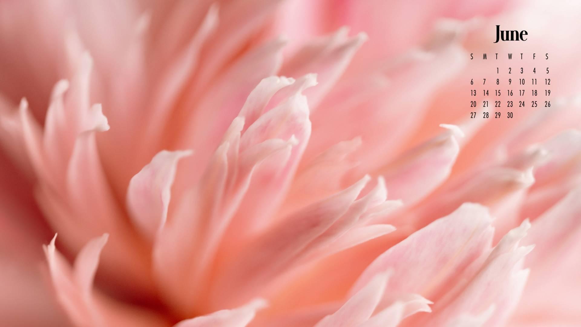 1920x1080 Free June 2022 Calendar Wallpaper