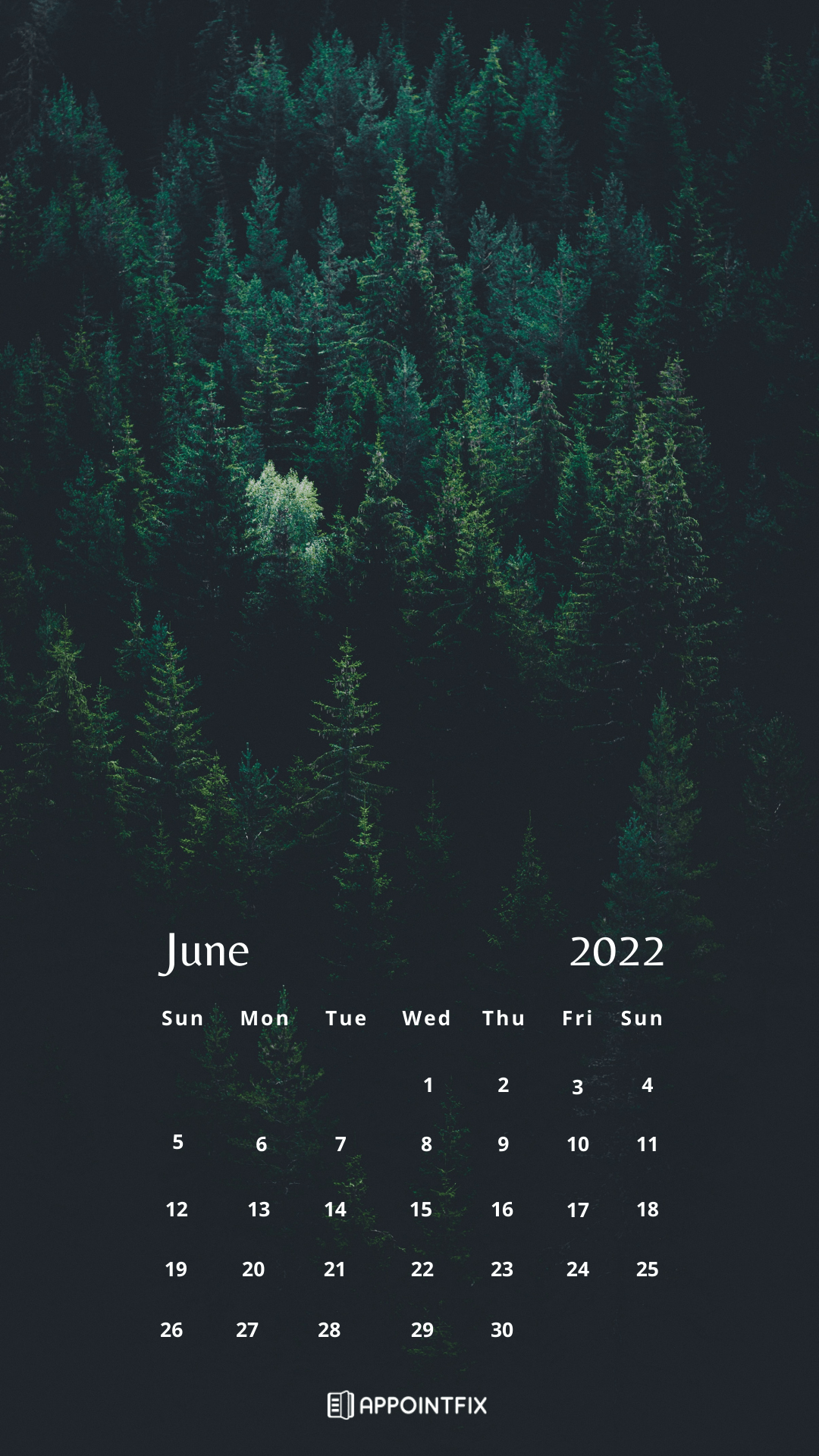 1080x1920 Free June 2022 Calendar Wallpaper