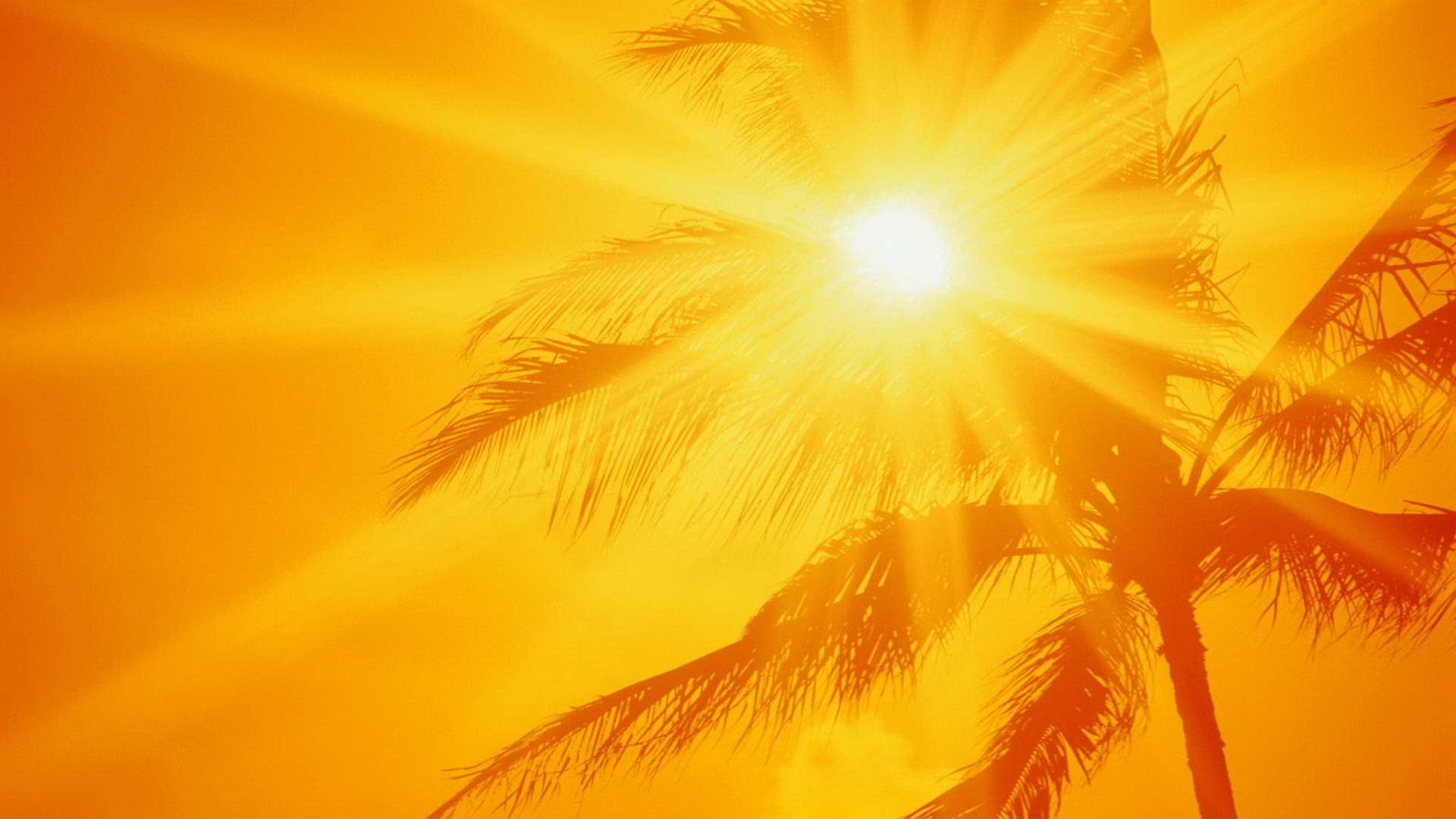 Heat Waves Wallpapers - Top Free Heat Waves Backgrounds - WallpaperAccess
