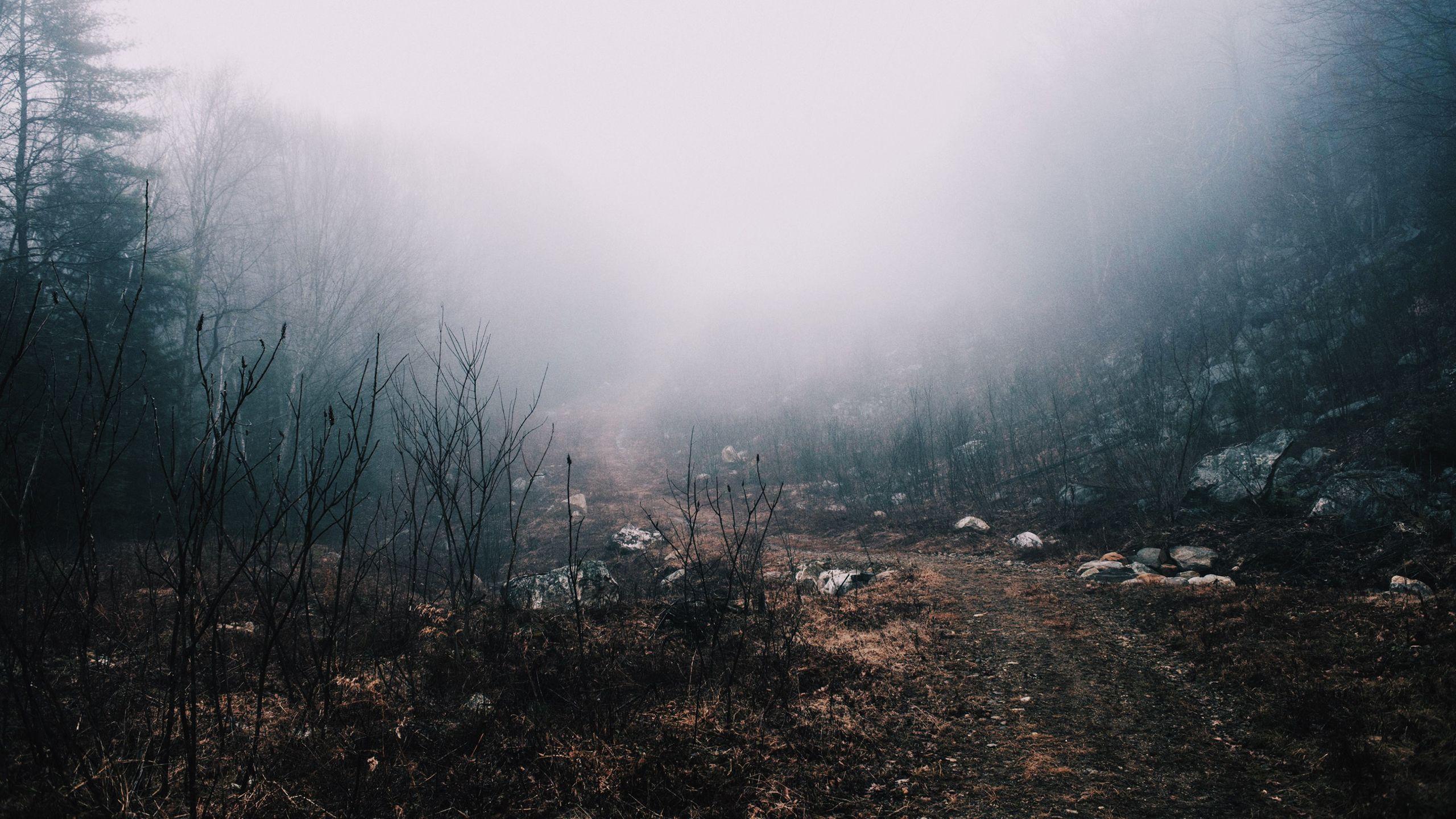 2560x1440 Morning Rural Hike [2560x1440]. wallpaper. Wallpaper