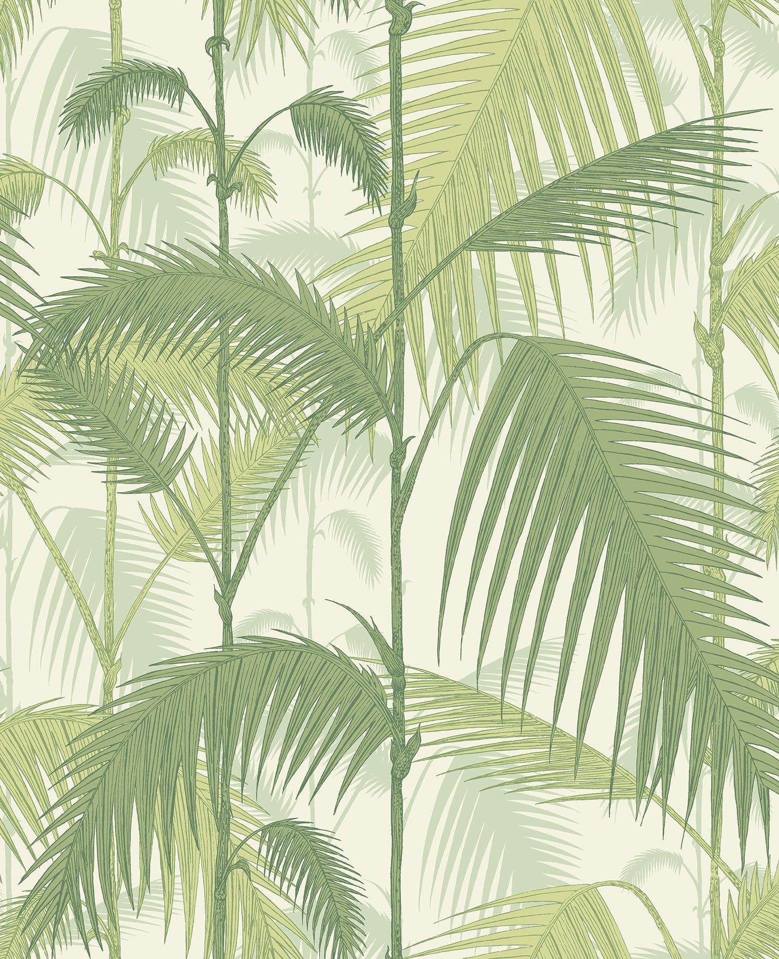 1560x1920 Palm Jungle Wallpaper & Son