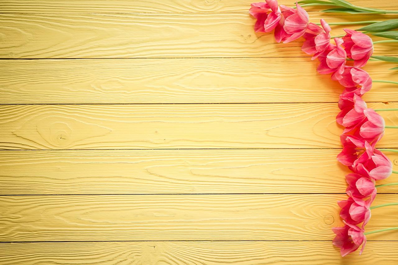 1280x853 Wallpaper Tulips flower Template greeting card Wood planks