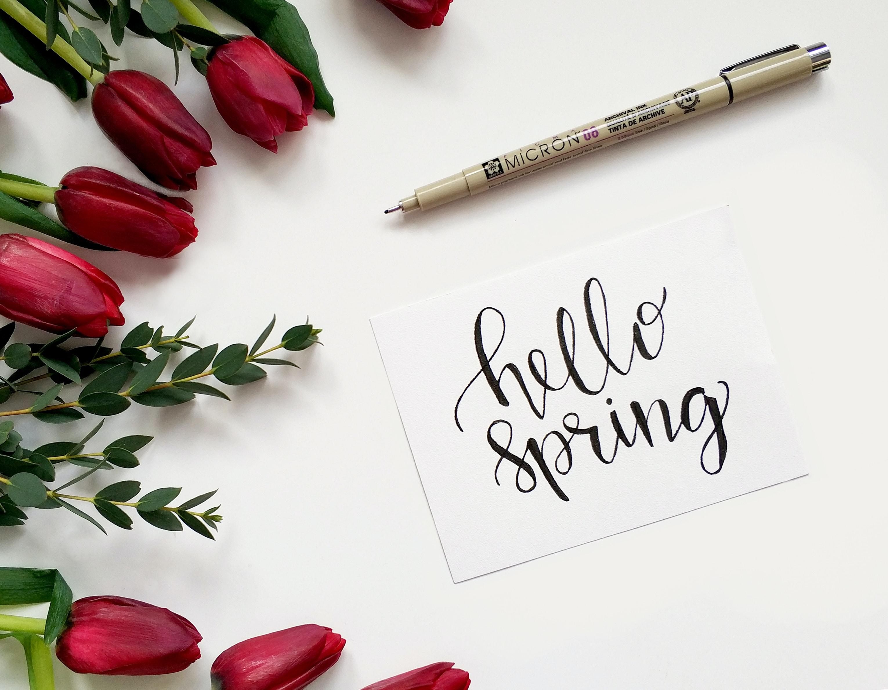 3061x2377 Best Greeting Card Photo · 100% Free Downloads