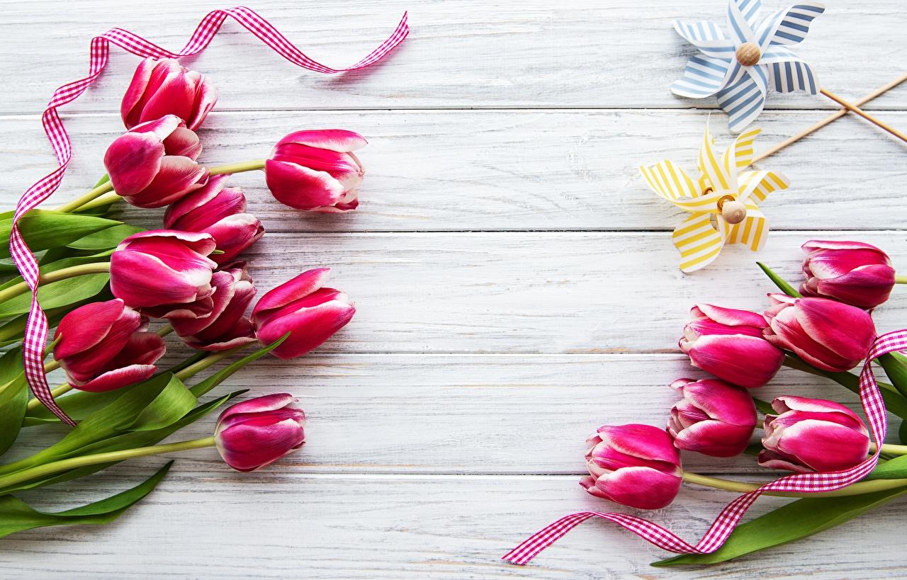 1280x819 Desktop Wallpaper Tulips flower Template greeting card Wood planks