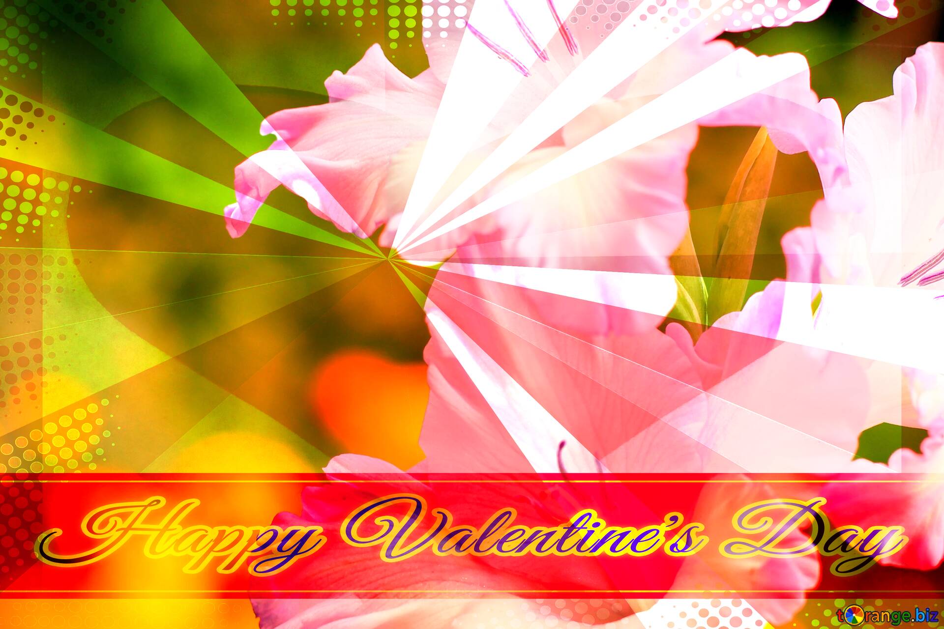1920x1280 Download Free Picture Beautiful Flowers Wallpaper Greeting Card Retro Style Background Lettering Happy Valentine's Day On CC BY License Free Image Stock TOrange.biz Fx №170468