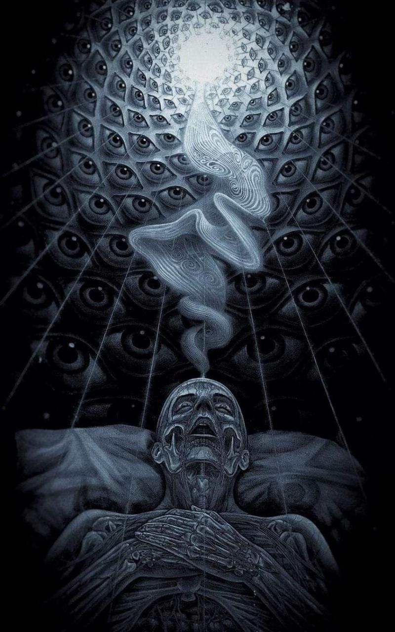 800x1280 Free download The PATIENT Tool band art Tool artwork Alex [844x1500] for your Desktop, Mobile & Tablet. Explore Tool Art Wallpaper. Tool Wallpaper, Tool Wallpaper
