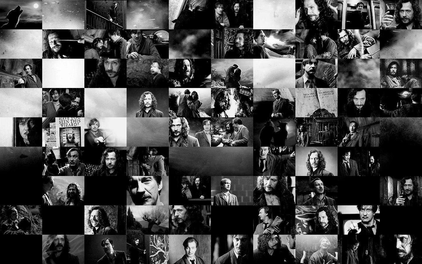 1440x900 Lupin & Sirius Potter Wallpaper
