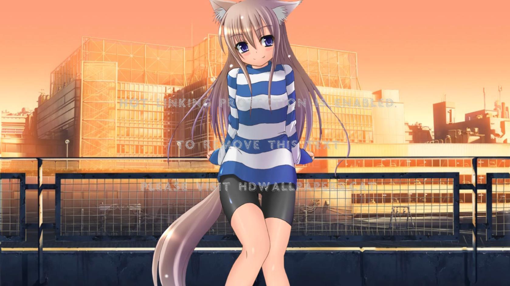 1678x944 fox girl blue cute city anime