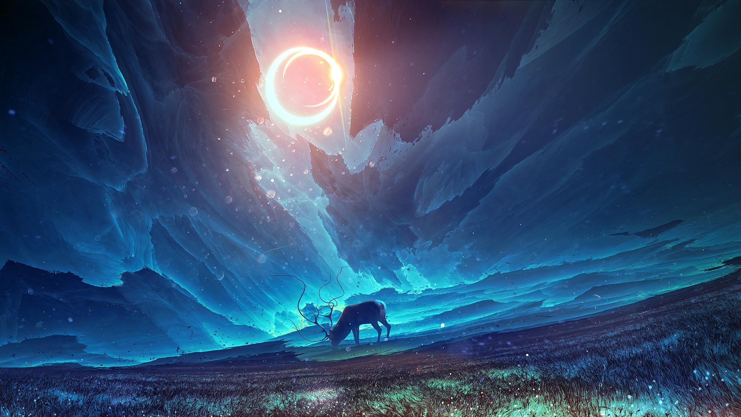 2560x1440 Wallpaper 4k Surreal HD Wallpaper