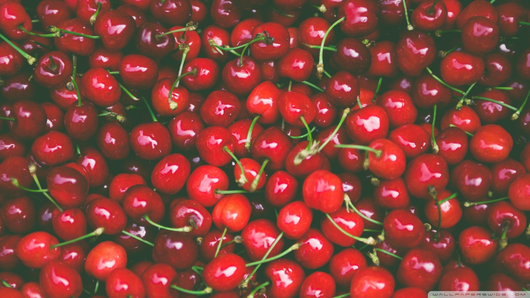 2048x1152 Spring Fruits Red Cherries Ultra HD Desktop Background Wallpaper for 4K UHD TV : Widescreen & UltraWide Desktop & Laptop : Tablet