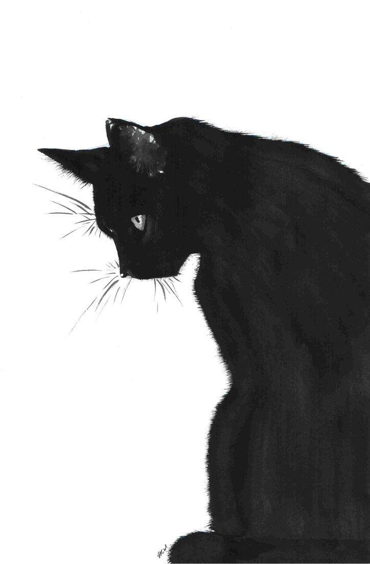 Daily Cat Drawings  421 Black Cat