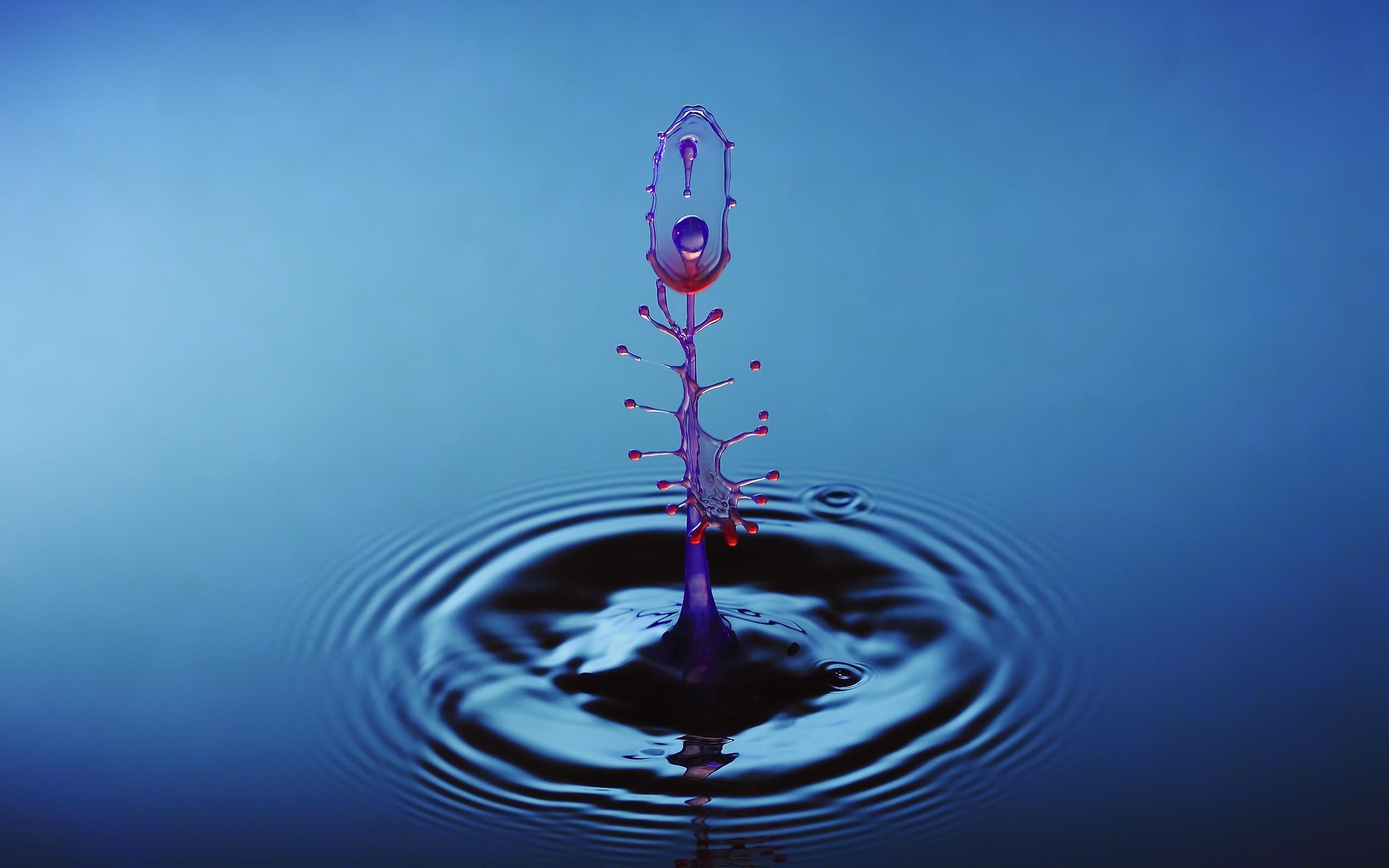2560x1600 Live Water Drop HD Wallpaper Water Picture HD
