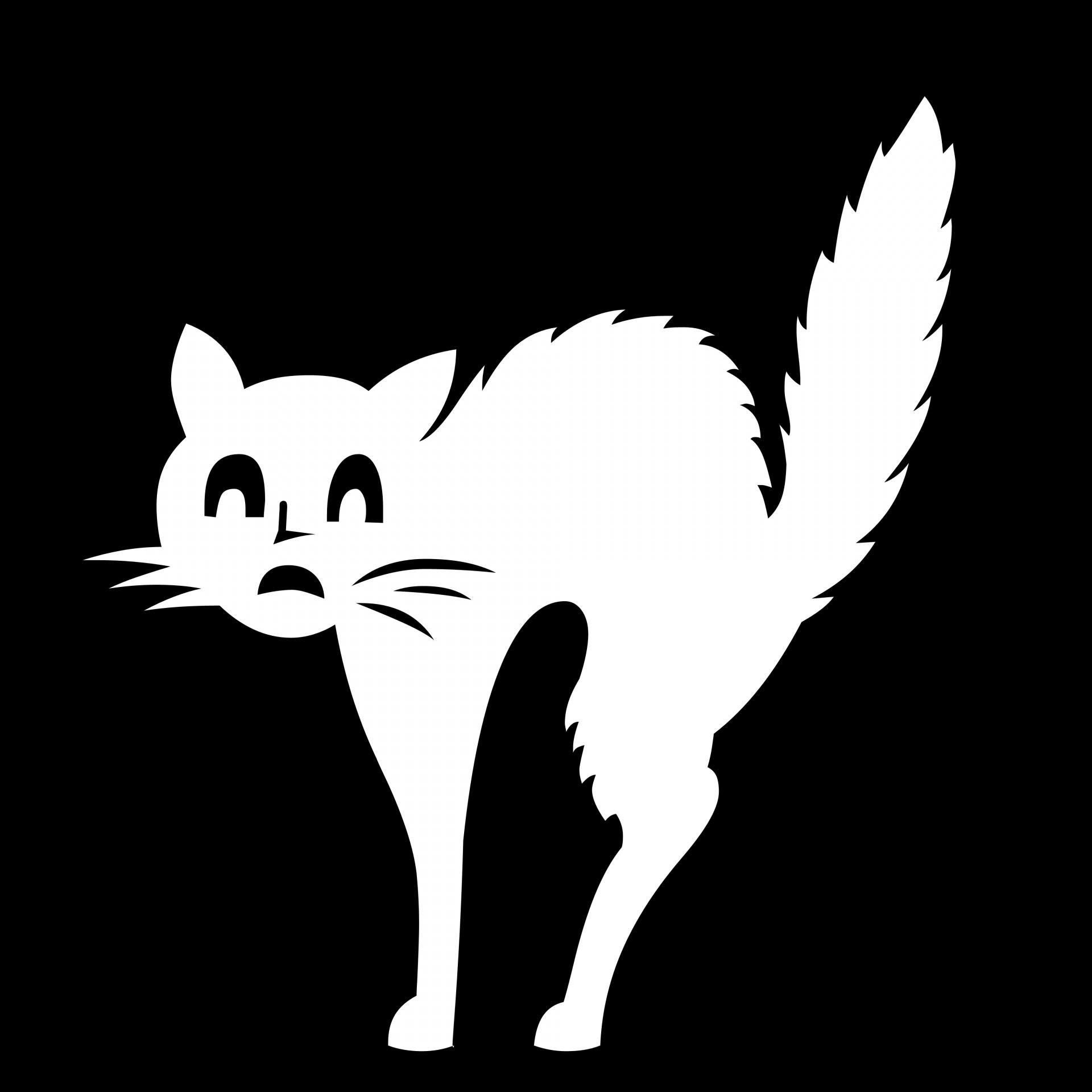 1920x1920 Download free photo of Drawing, white, cat, black, background
