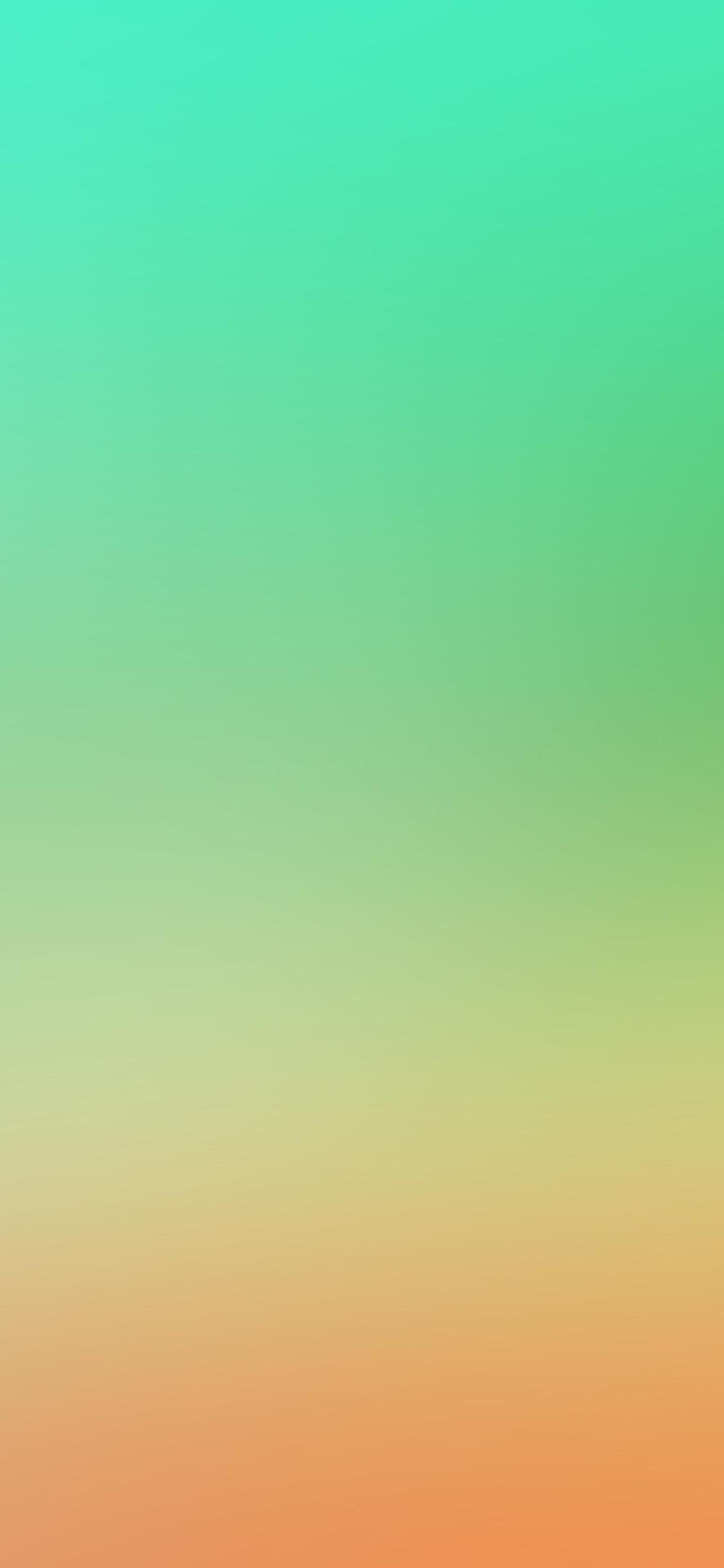 1125x2436 iPhone X wallpaper. soft green orange blur gradation