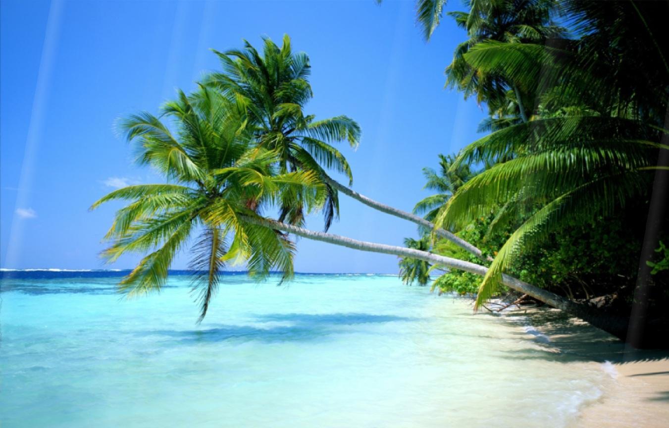 1351x864 Free download Summer Beach Animated Wallpaper screenshot Windows 8 Downloads [1351x864] for your Desktop, Mobile & Tablet. Explore Beach Wallpaper for Windows 8. Free Easter Wallpaper, Beach Themed Wallpaper
