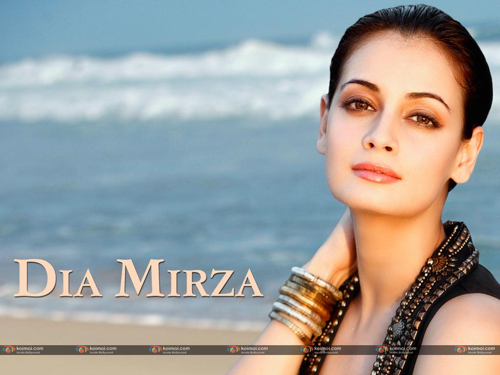 1024x768 Dia Mirza Wallpaper