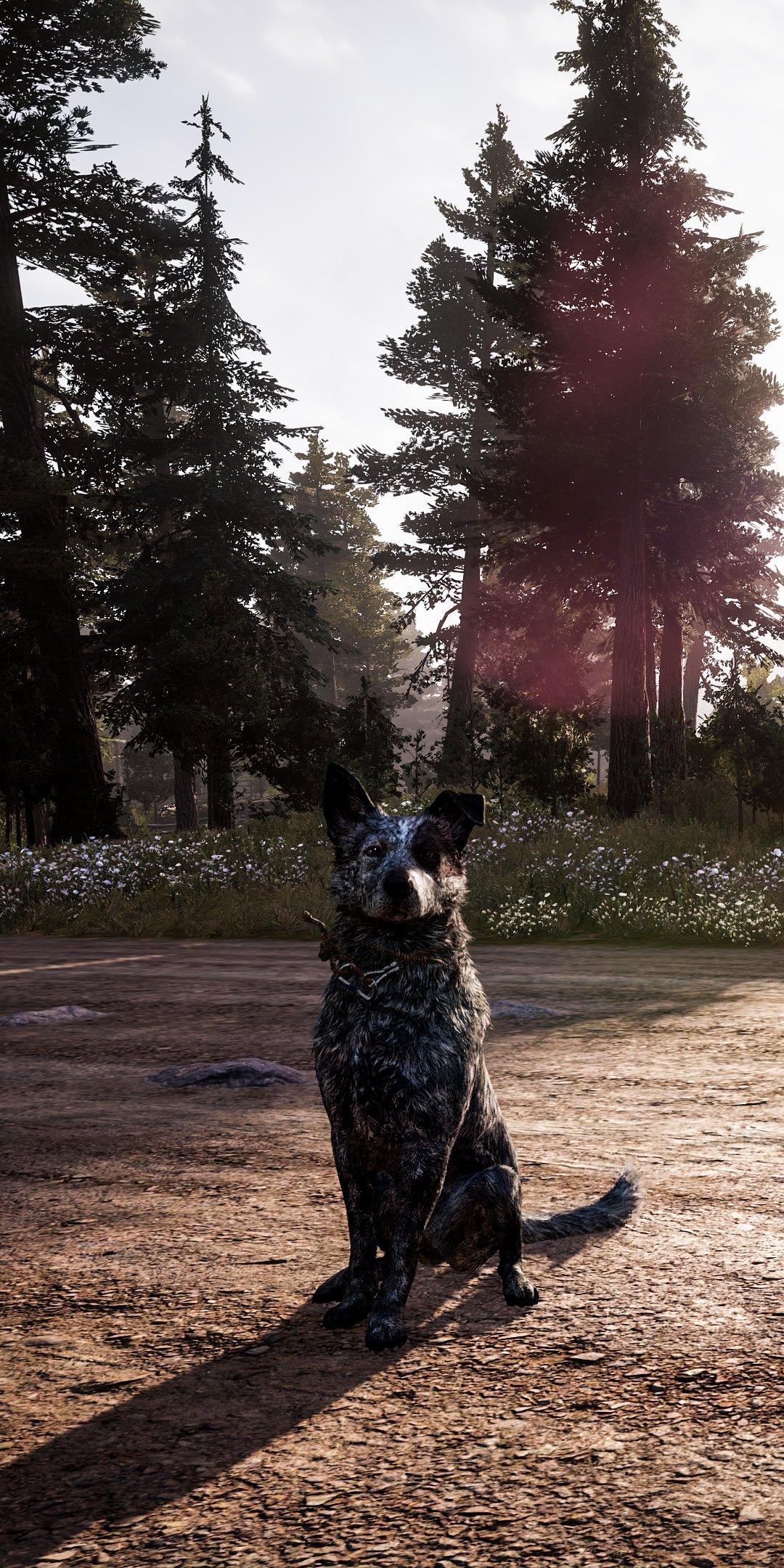 1080x2160 Video Game Far Cry 5