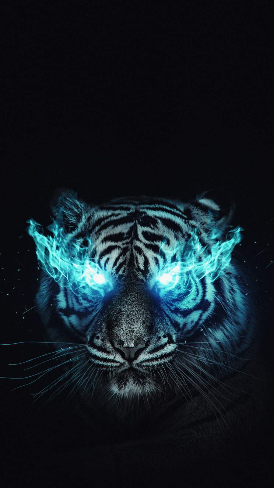 900x1600 White Tiger IPhone Wallpaper Wallpaper : iPhone Wallpaper