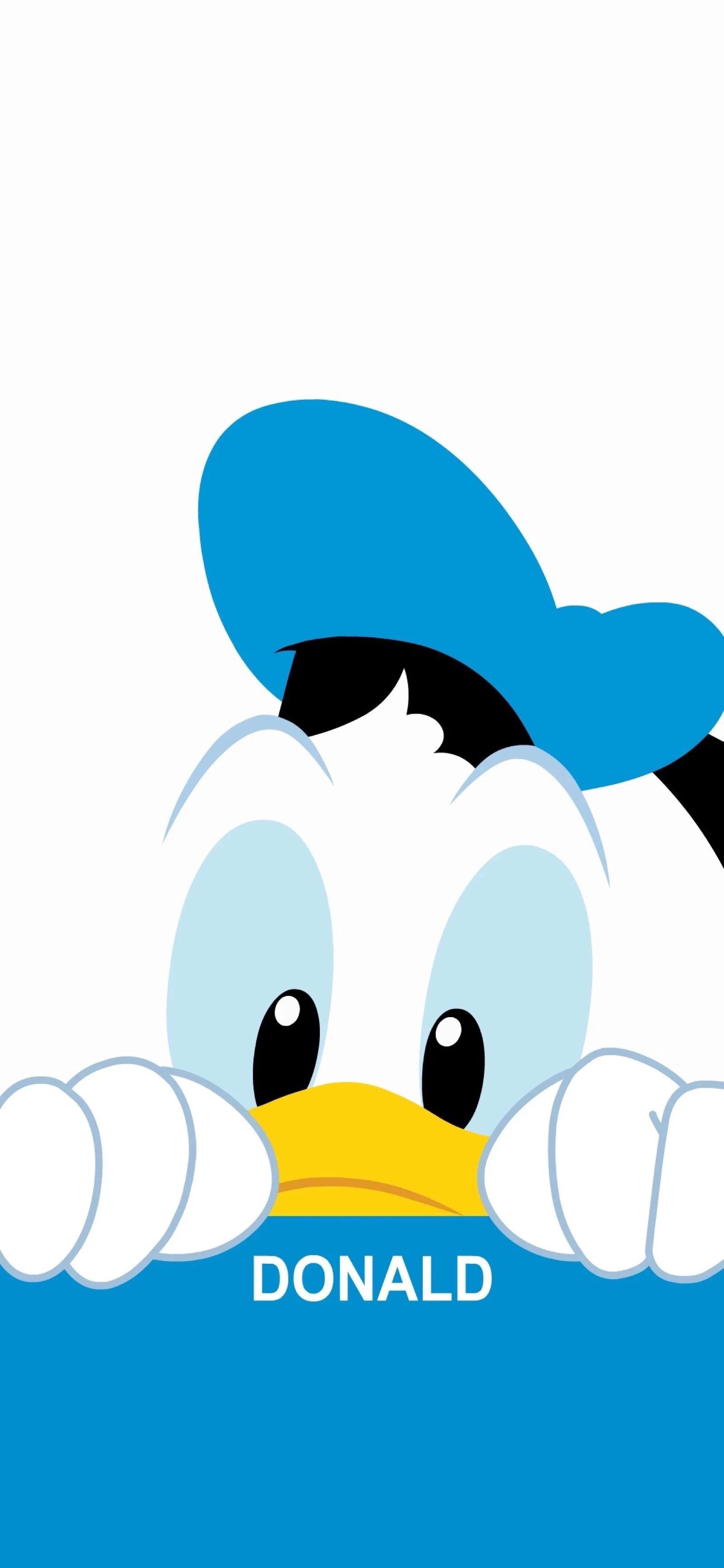 Download Donald Duck Comic Illustration Wallpaper  Wallpaperscom