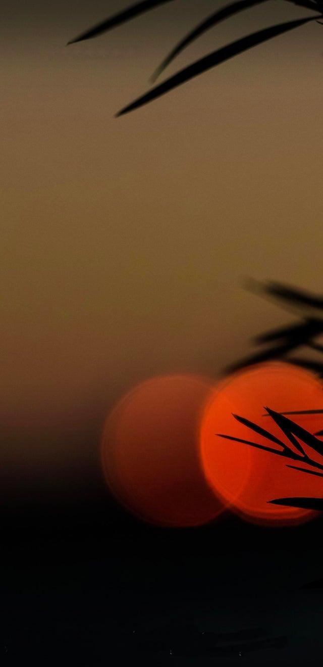 640x1320 Wallpaper for Mate40 Pro (homemade, 2772x1344px)