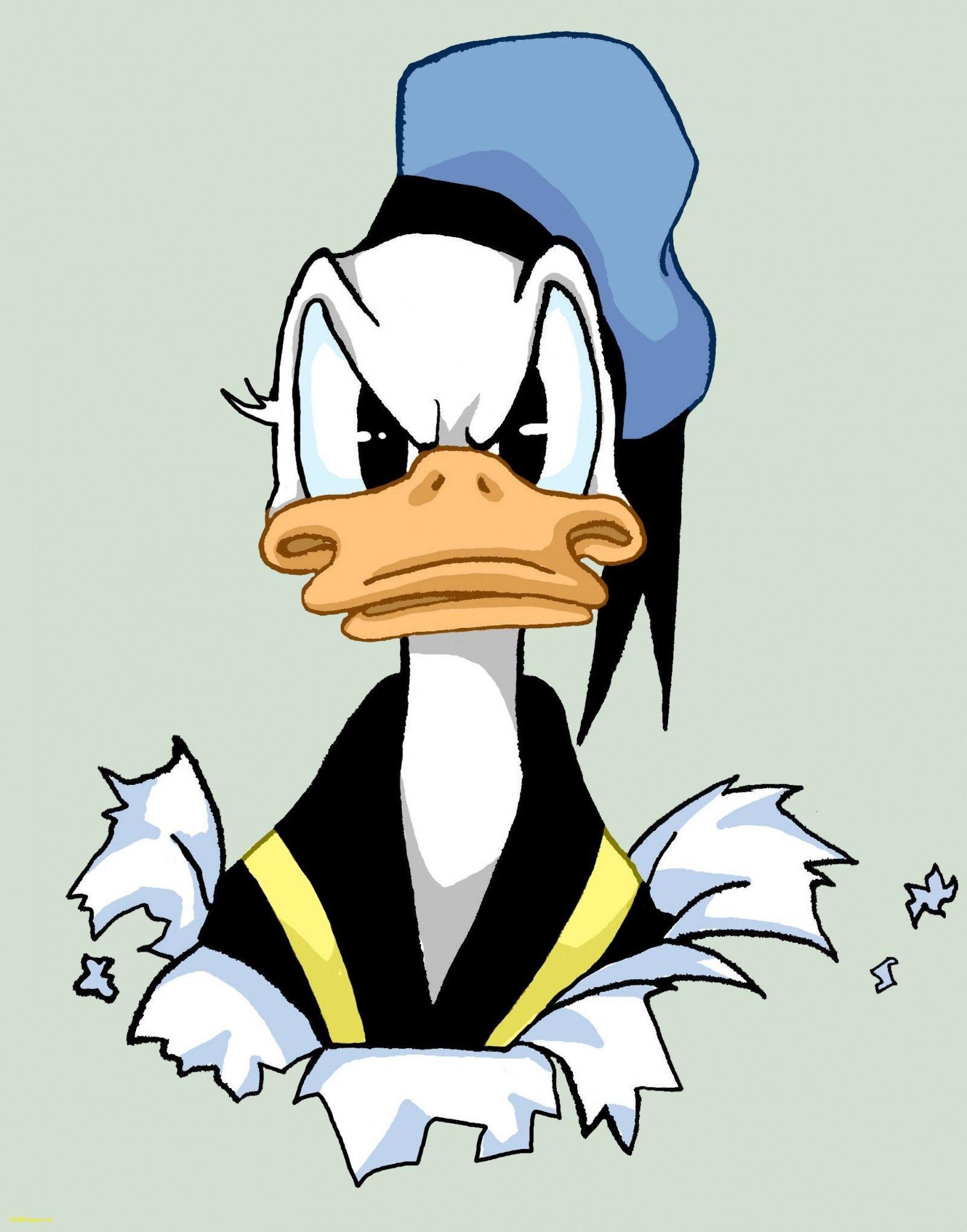 1600x2037 Daffy Duck Wallpaper iPhone Wallpaper Directory
