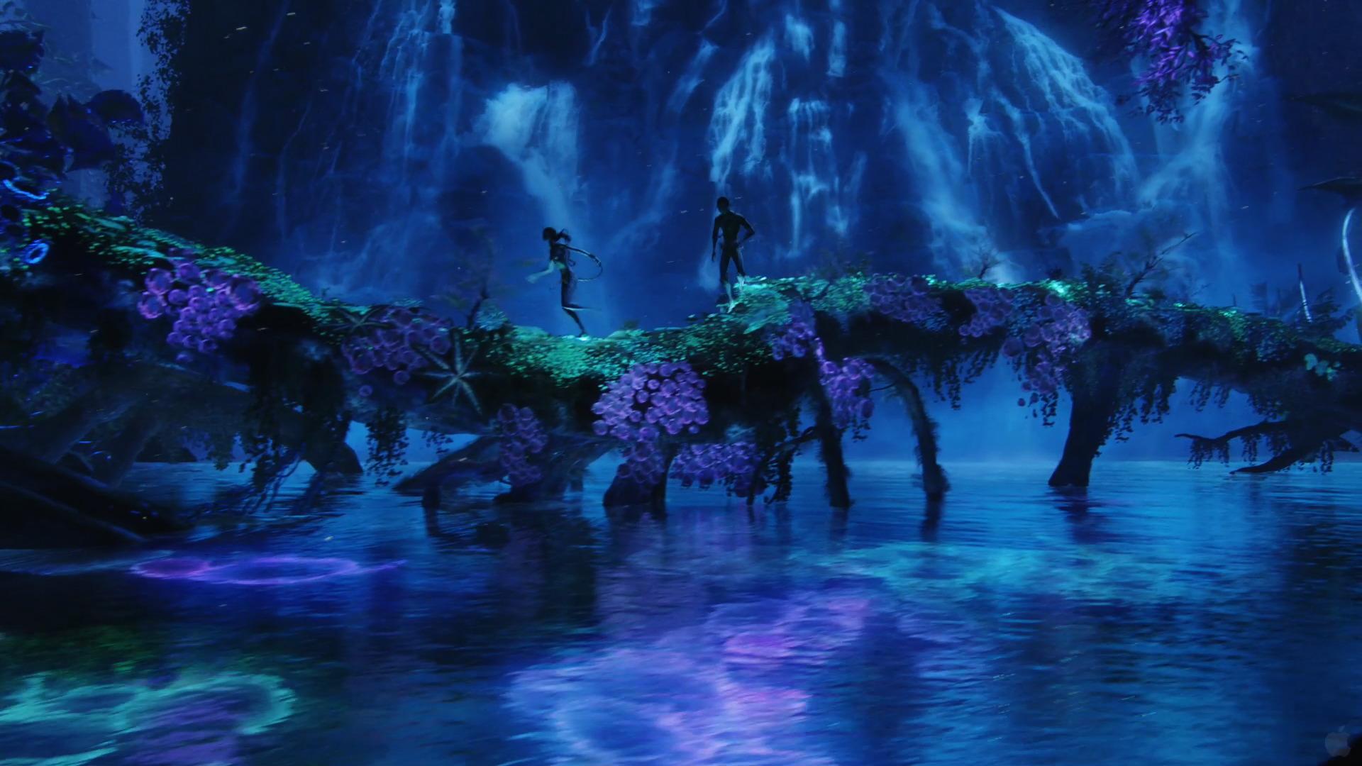 Avatar Explore Pandora Immersive Exhibition Coming to Shanghai Disneyland   TDR Explorer