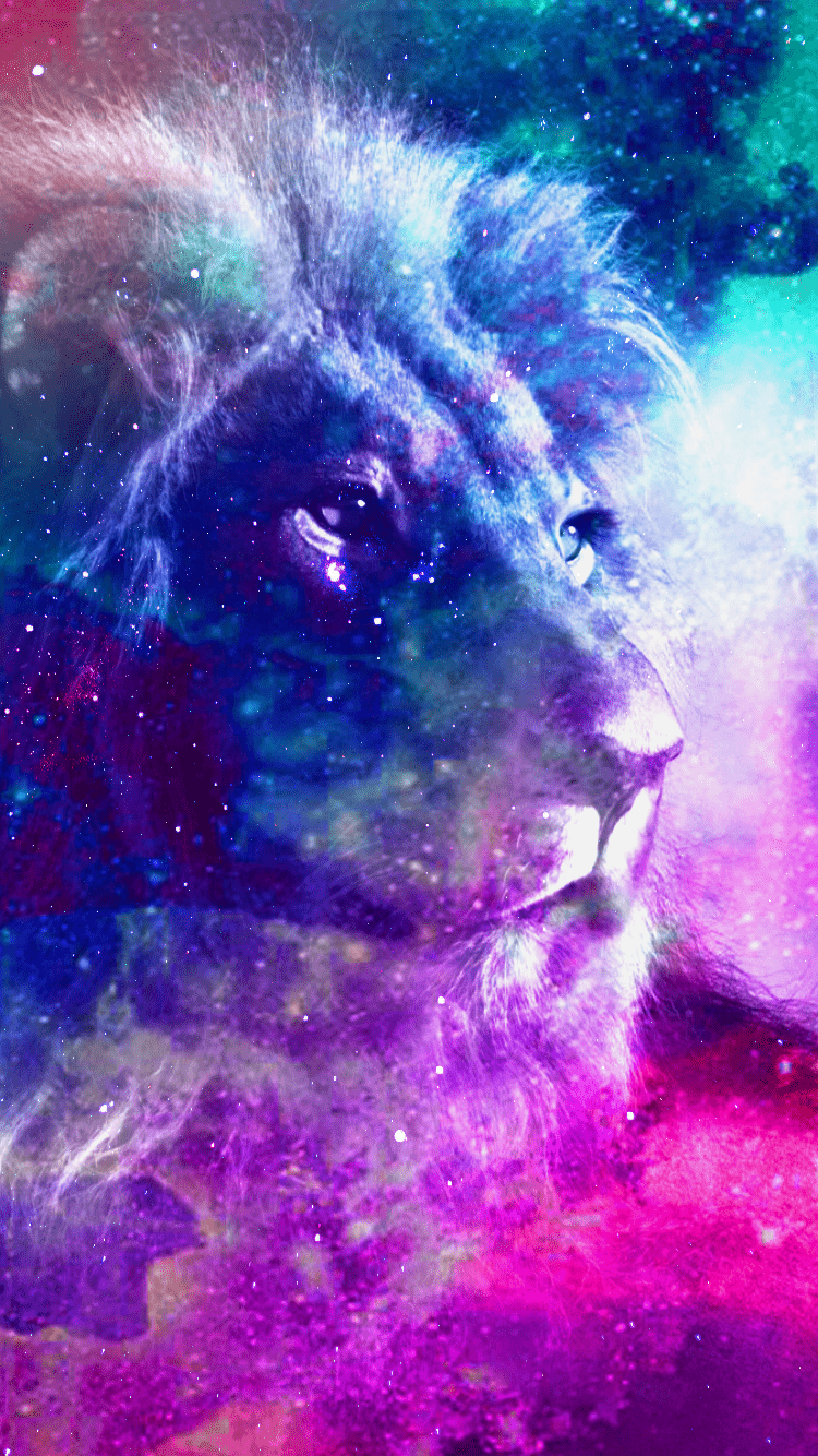 Wolf and Lion Wallpapers - Top Free Wolf and Lion Backgrounds ...