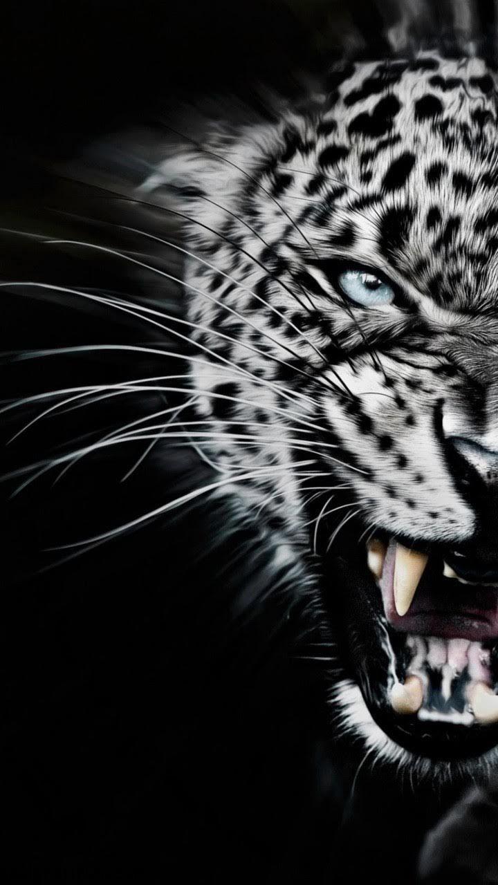 720x1280 Animals. Amazing Lion wallpaper