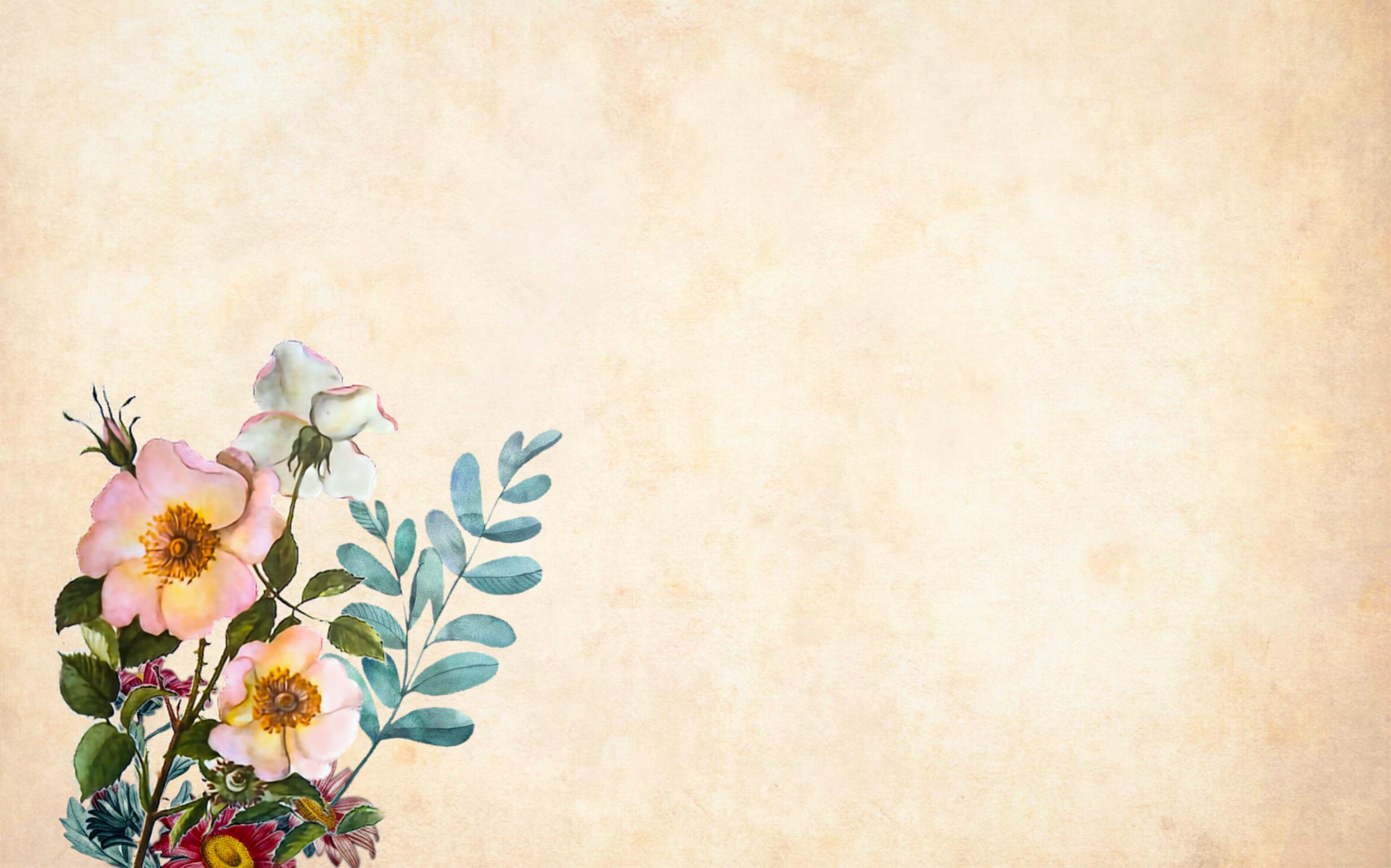 3099x1935 Vintage background with wild rose flowers free image download