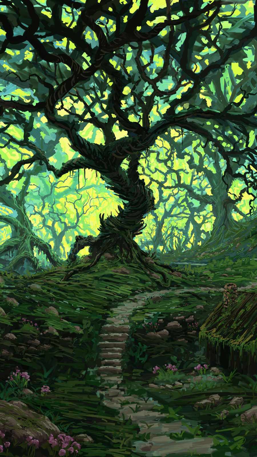 900x1600 Old Tree IPhone Wallpaper Wallpaper : iPhone Wallpaper