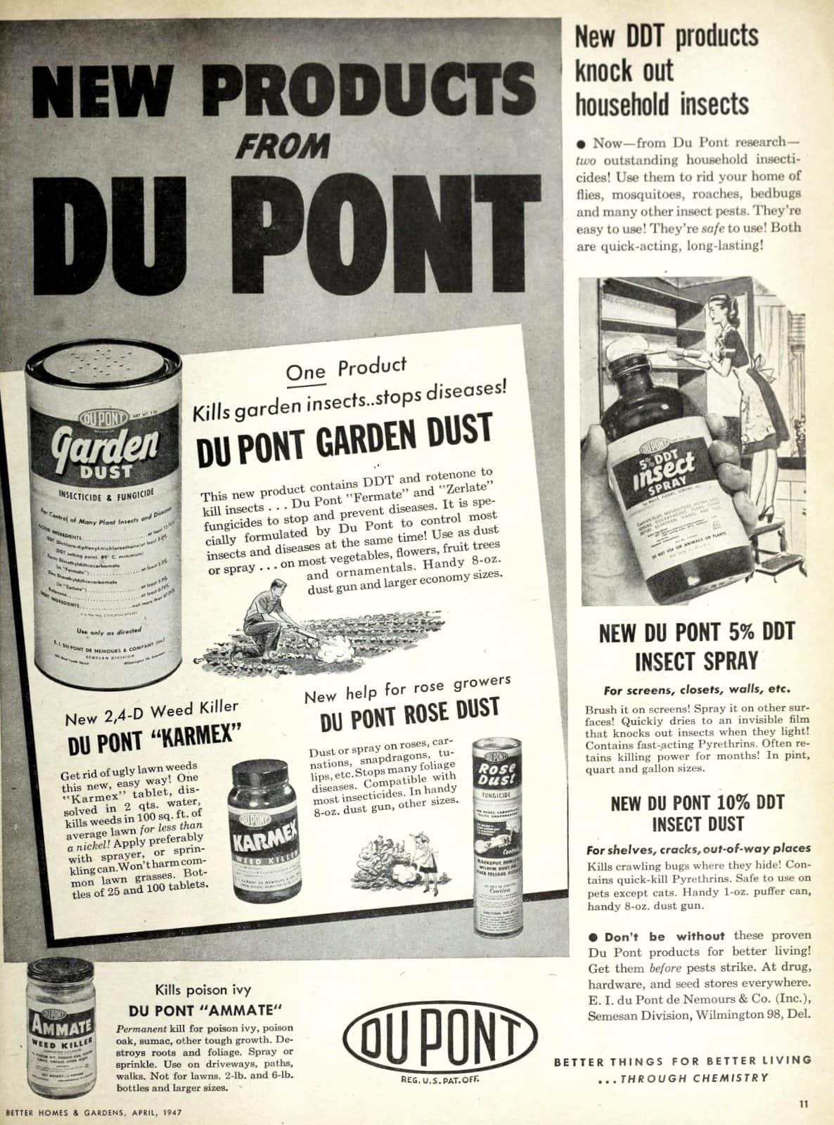 1186x1600 DDT: The dangerous old insecticide that
