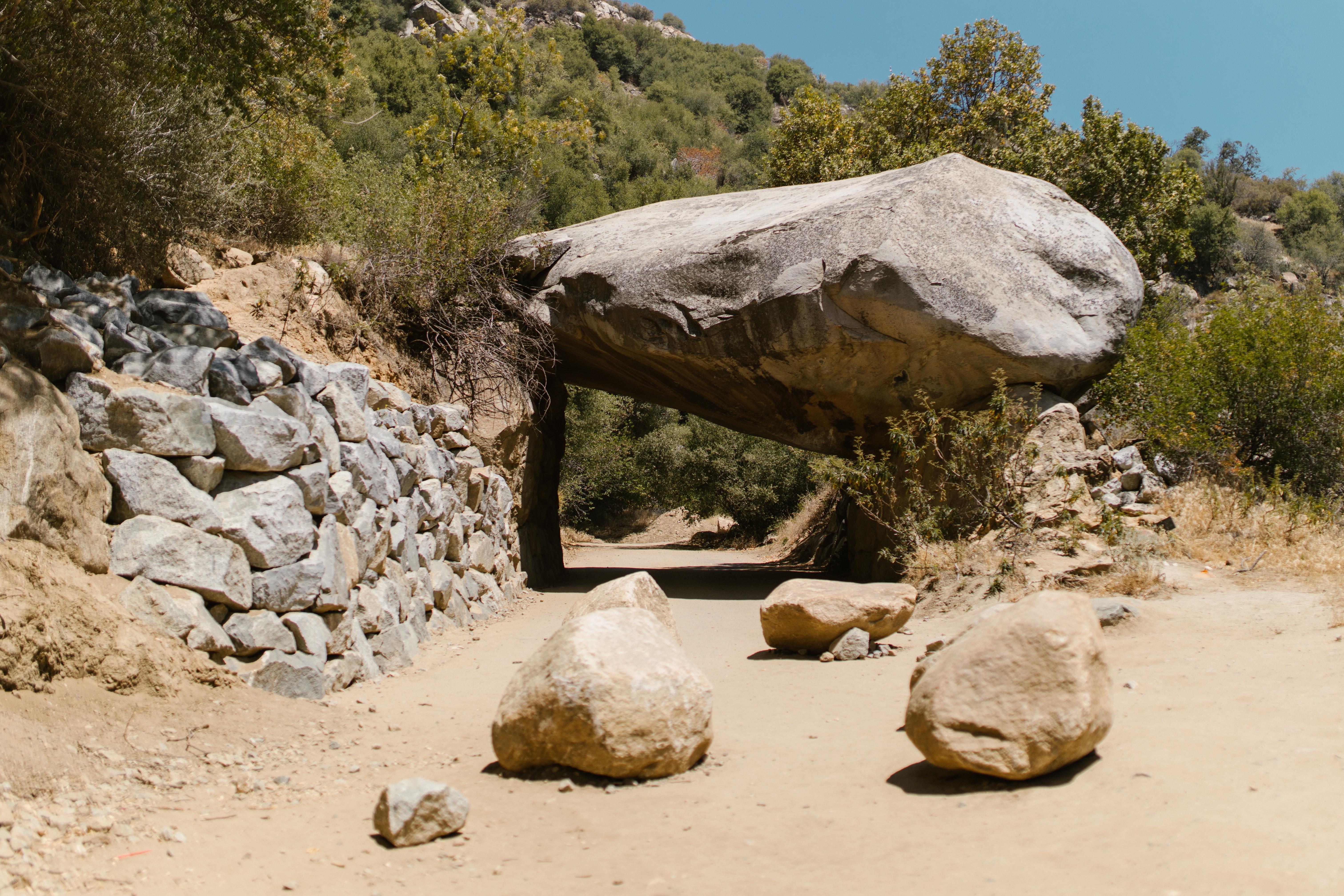 6046x4031 Best Desert Forest Photo · 100% Free Downloads