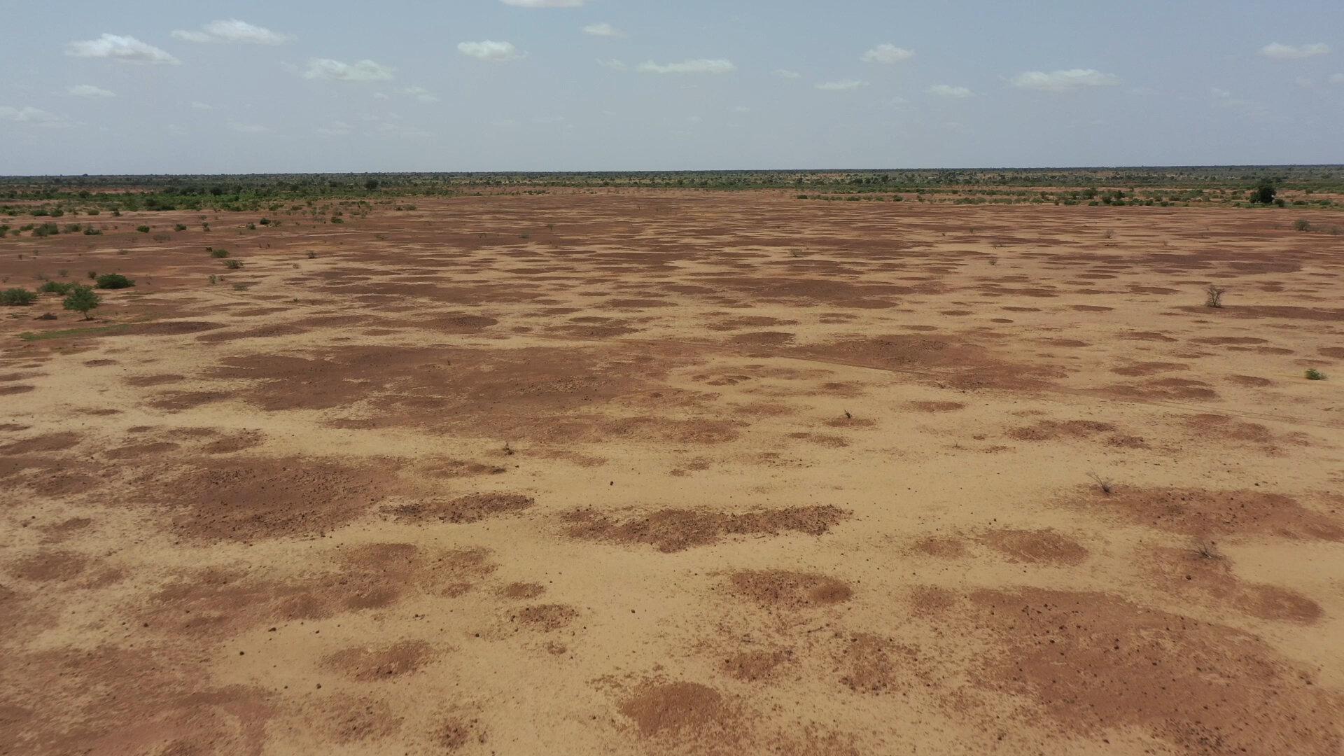 1920x1080 Opinion. Can We Turn a Desert Into a Forest?