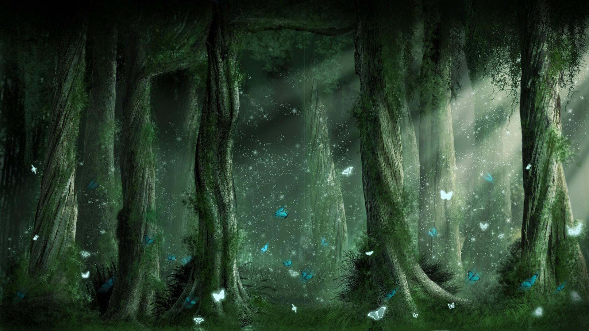 1920x1080 Magic Forest Tree Roots Wallpaper 28311