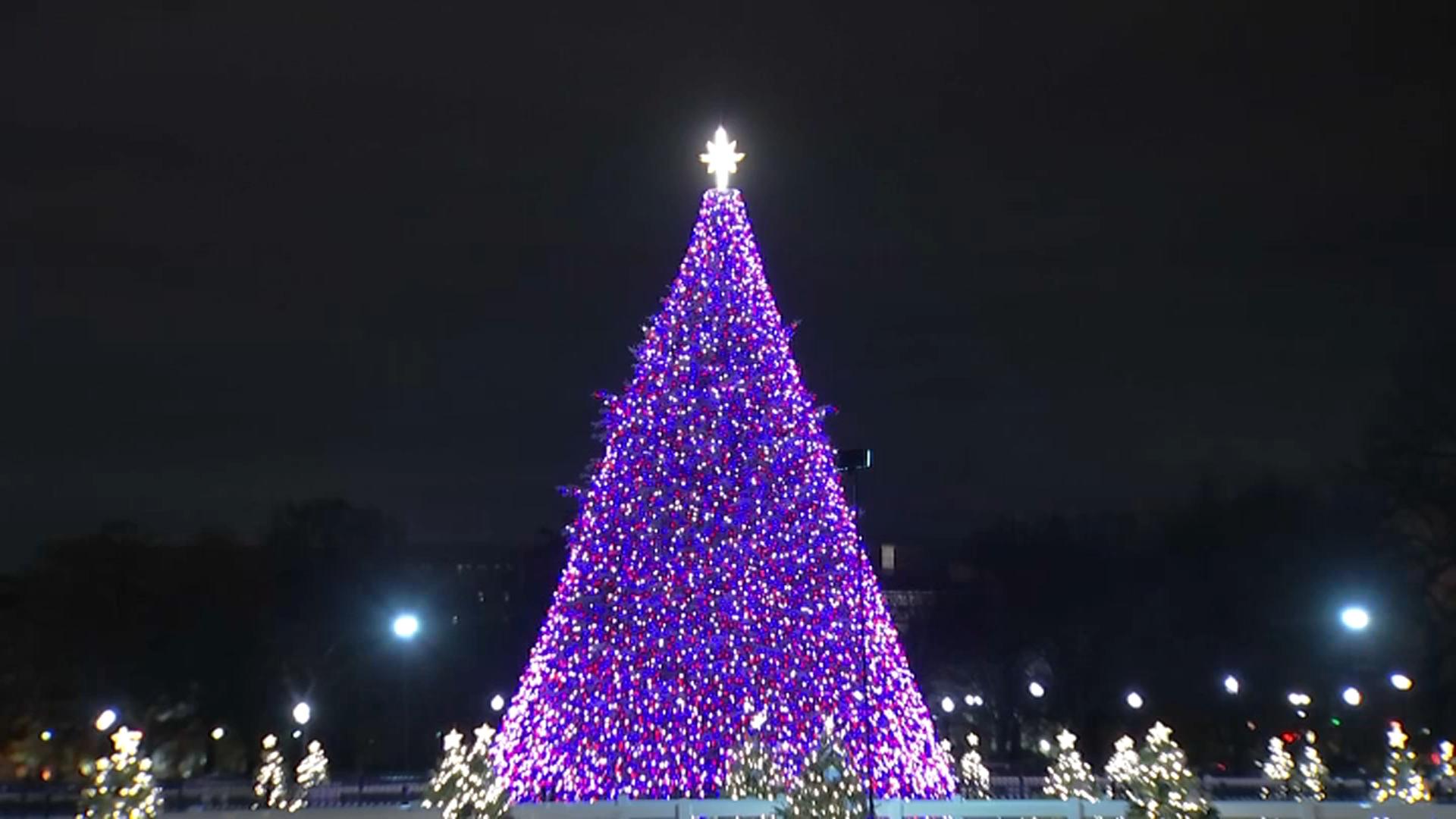 1920x1080 National Christmas Tree Lit Without Crowds This Year