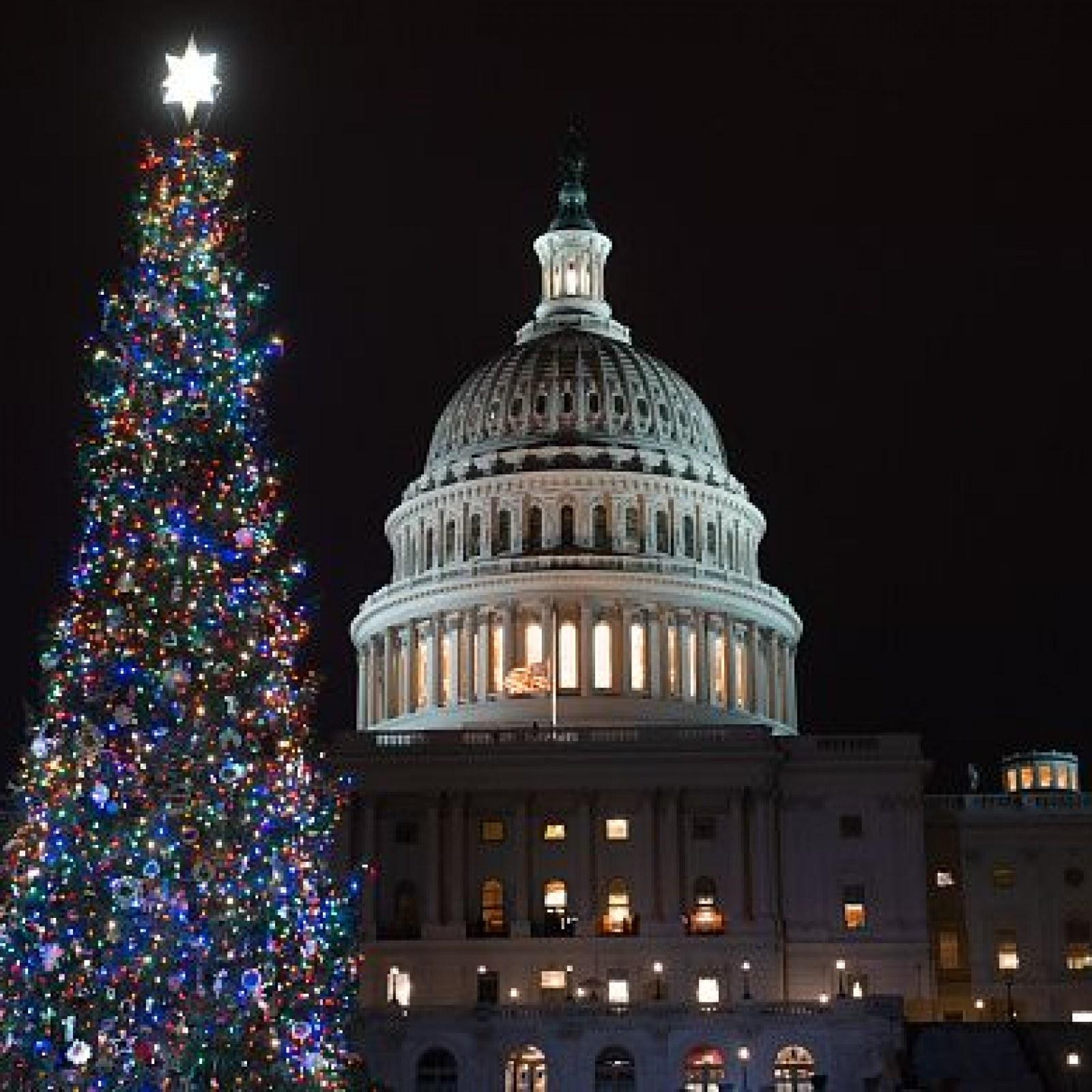 1600x1600 Christmas Instagram Captions, Best Quotes to Celebrate the Holiday