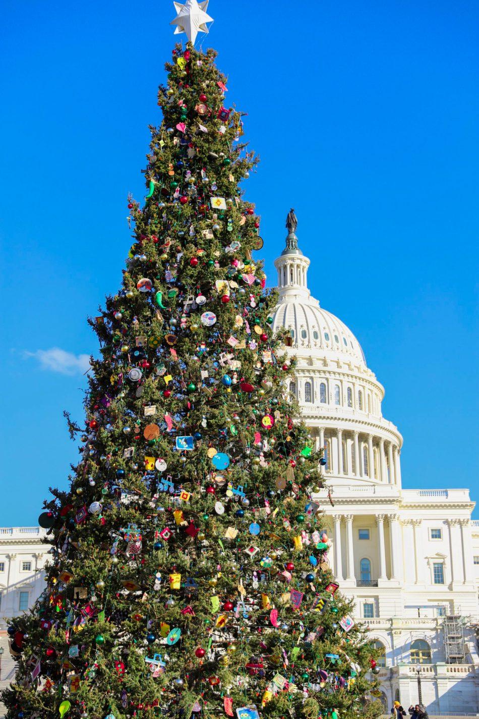 950x1425 Where to See the Best Christmas Trees in Washington, DC