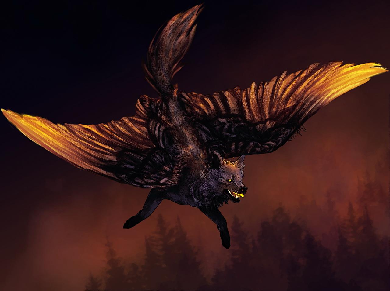 1280x953 Desktop Wallpaper wolf Wings Fantasy Flight Magical animals