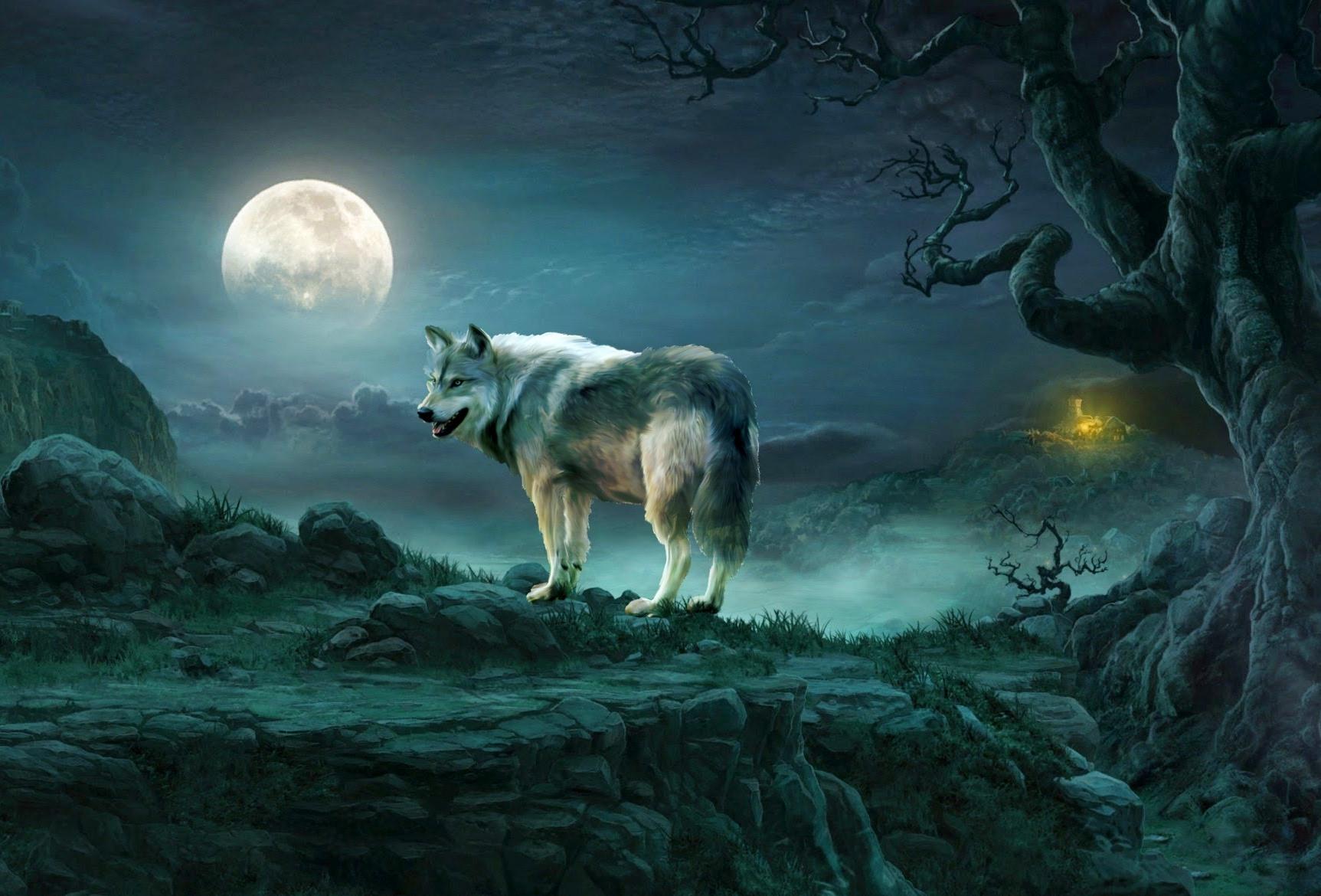 1725x1170 Wolf On Full Moon Night