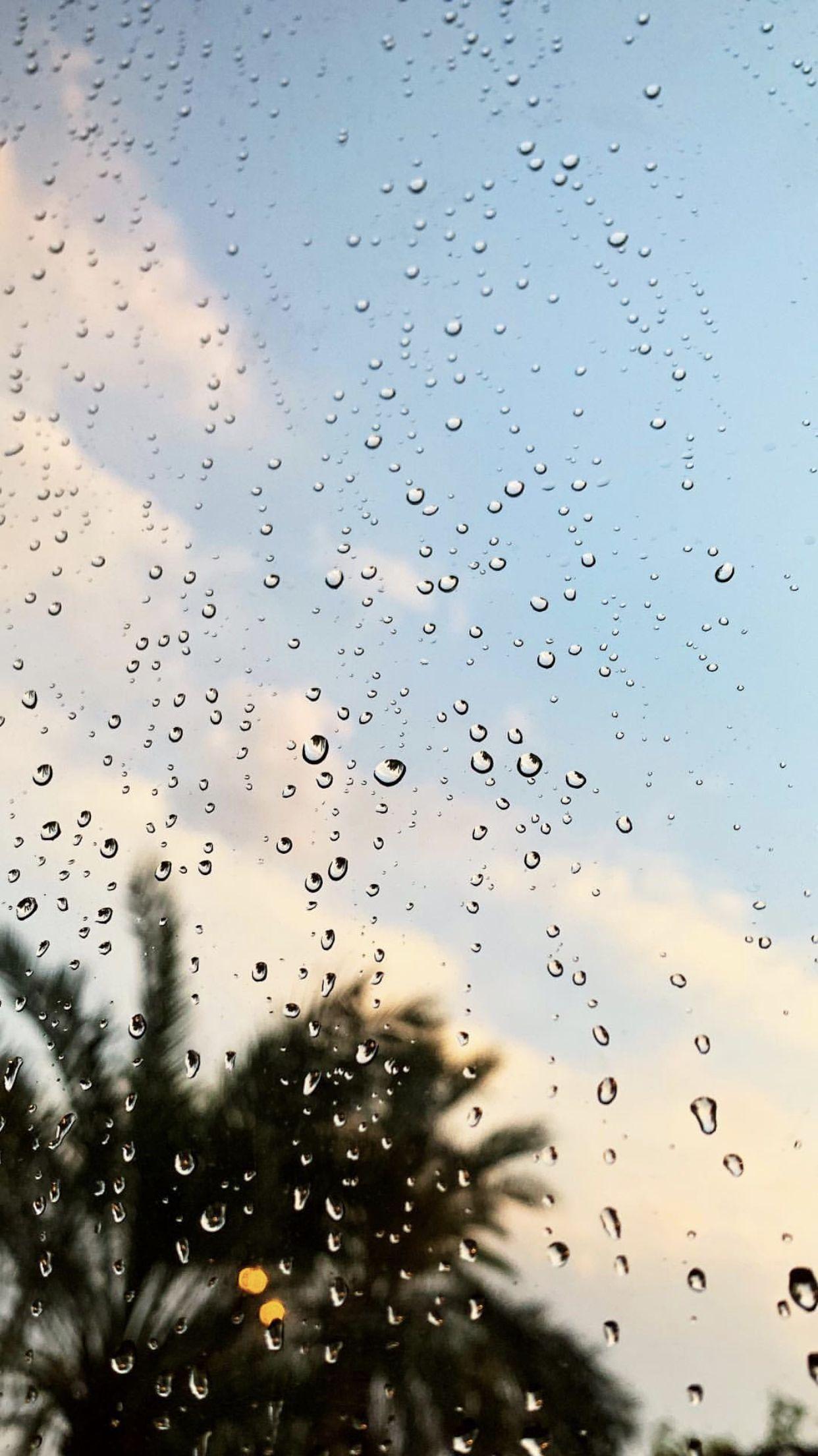 1242x2208 Photography on Raining Day of Window View and Window Glass raindrops. Rain wallpaper, Sky aesthetic, Nature photography