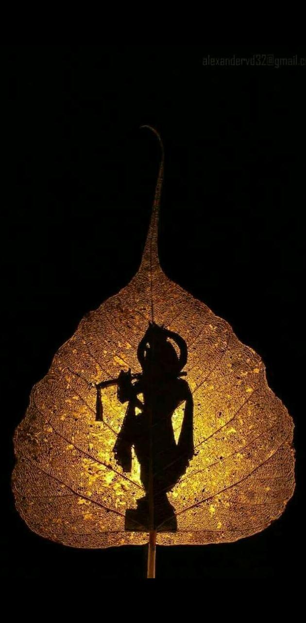 630x1280 Krishna wallpaper