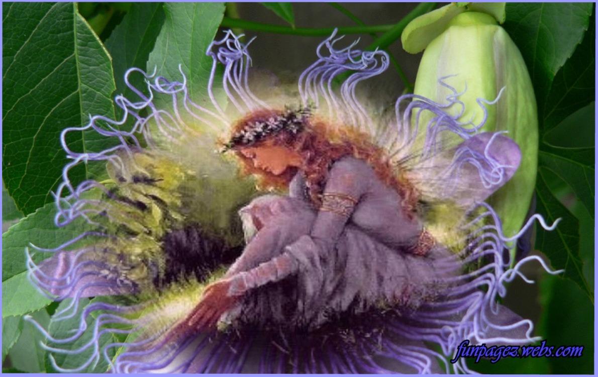1190x750 Fantasy Fairies Wallpaper, FREE Desktop Wallpaper Created by Mardi (funpagez.webs.com), Tulsa OK