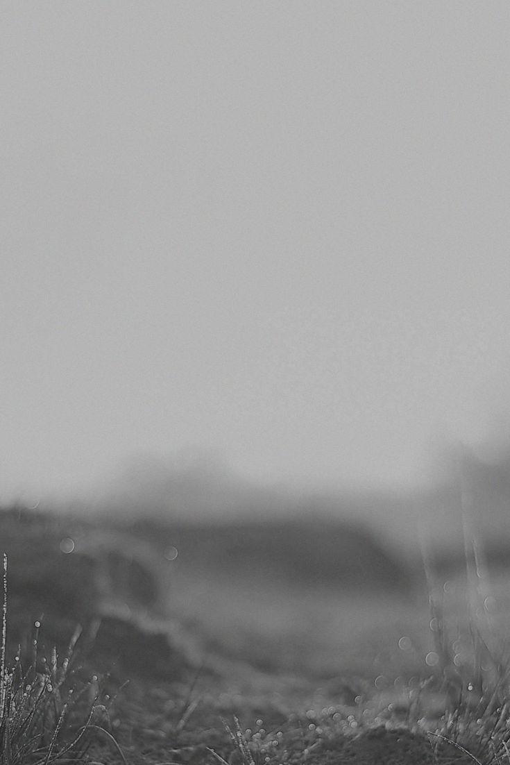 Black Grass Wallpapers Top Free Black Grass Backgrounds WallpaperAccess