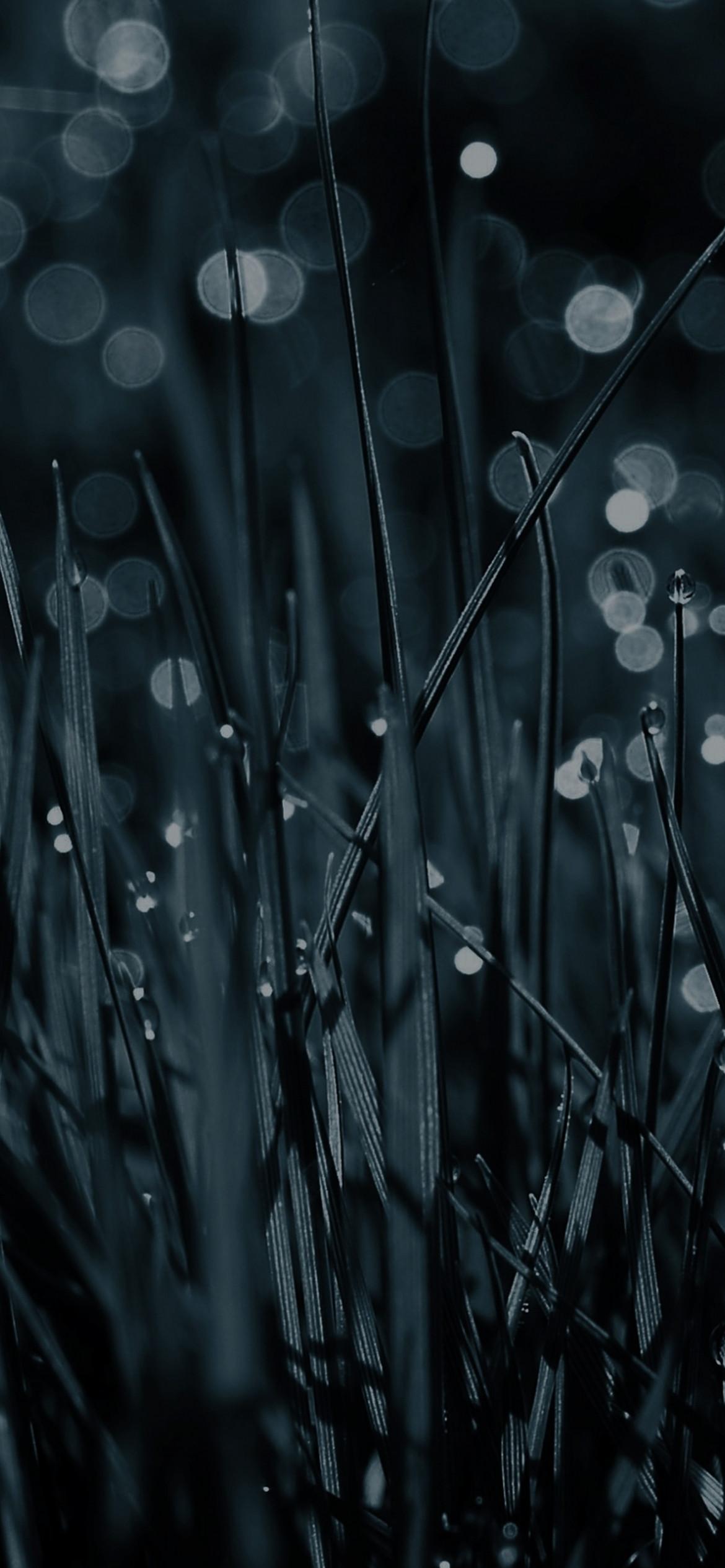 1170x2532 Download Black Grass With Dew Wallpaper