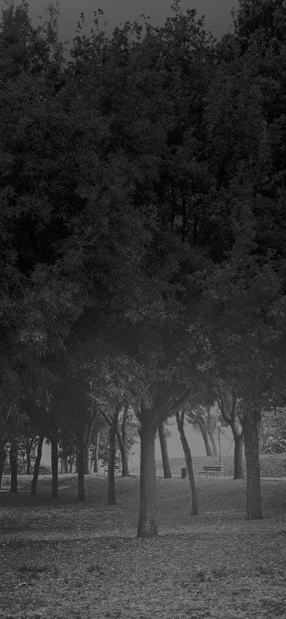 Black Grass Wallpapers Top Free Black Grass Backgrounds WallpaperAccess