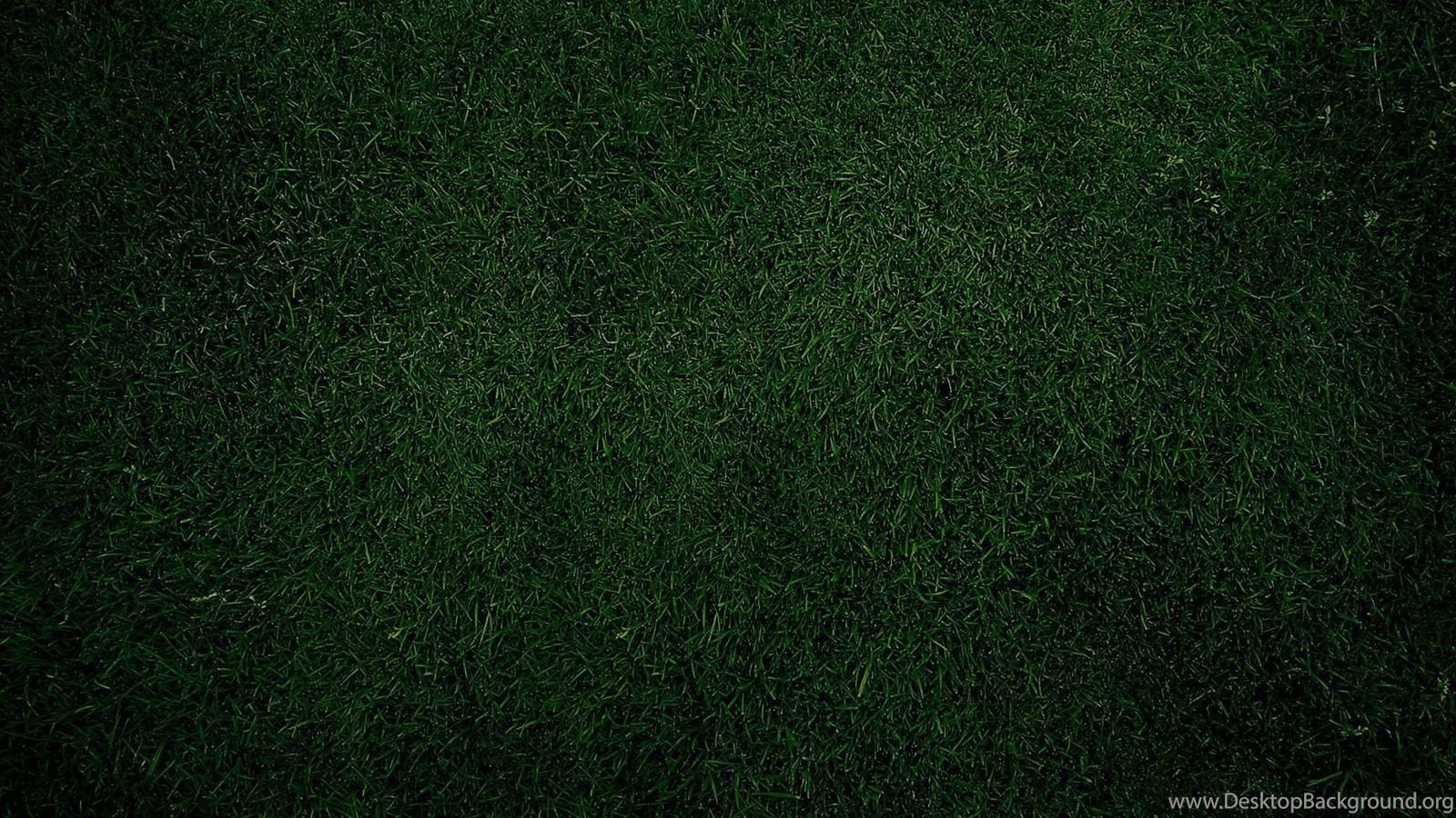 Black Grass Wallpapers - Top Free Black Grass Backgrounds - WallpaperAccess