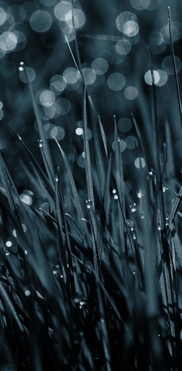 630x1280 Dark Strange Grass wallpaper