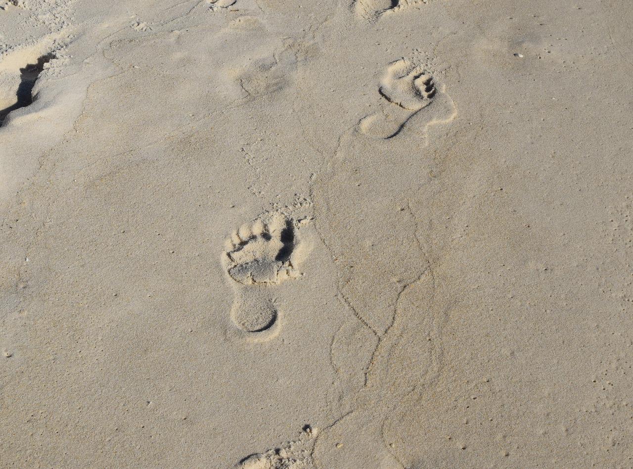 1280x948 Footprints In The Sand